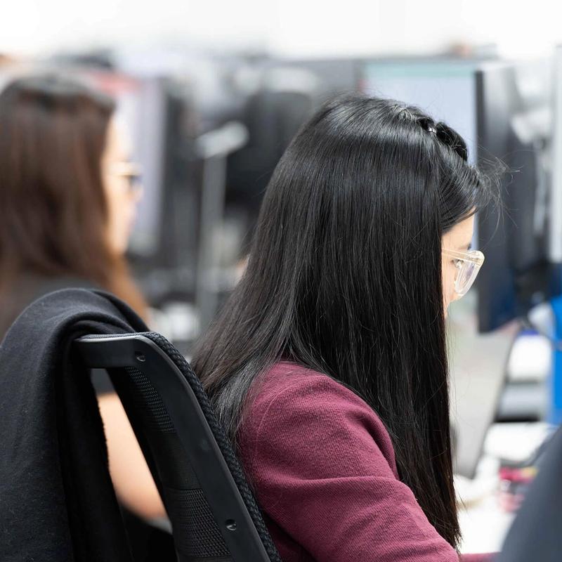 A row of Female Colleagues working at their desks in the C5 office